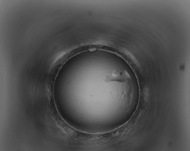 X0000093501064200710191244