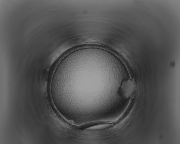 X0000093501066200710191244