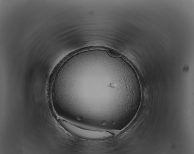 X0000093501068200710191244