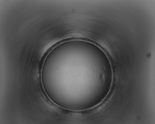X0000093501070200710191244