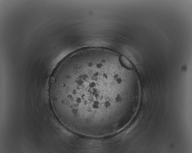 X0000093501071200710191244