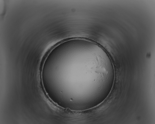 X0000093501072200710191244