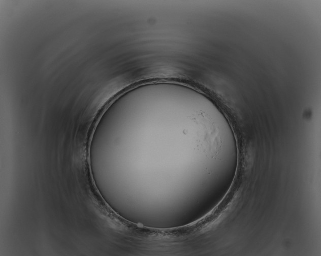 X0000093501073200710191244