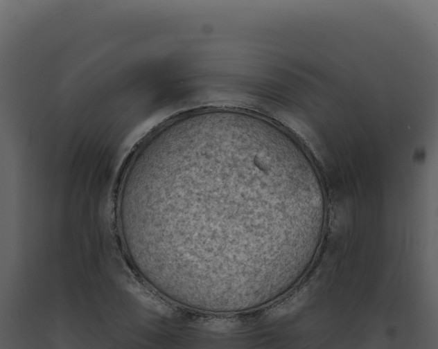 X0000093501074200710191244
