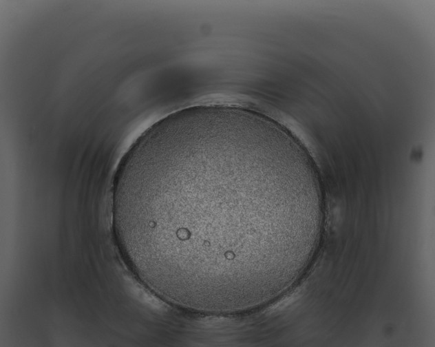 X0000093501075200710191244