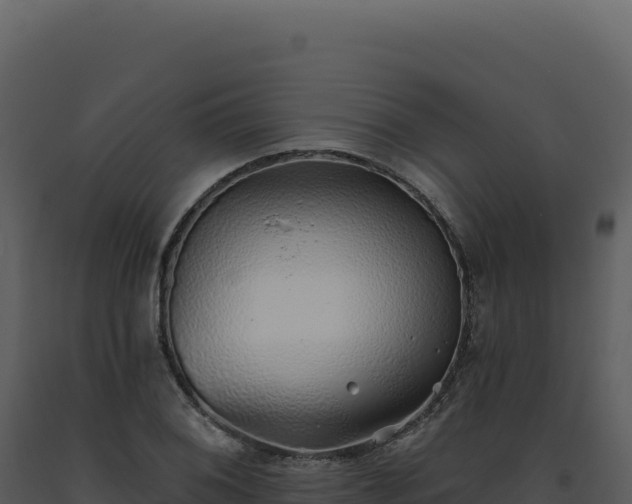X0000093501076200710191244