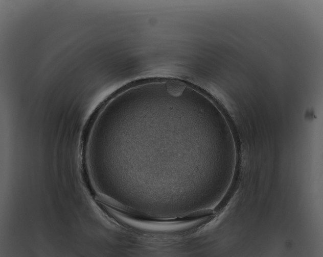 X0000093501077200710191244