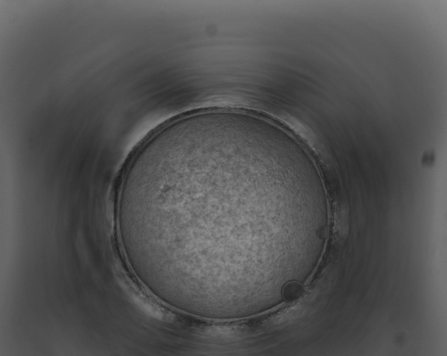 X0000093501078200710191244