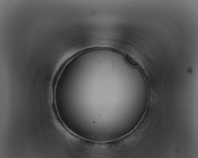 X0000093501080200710191244