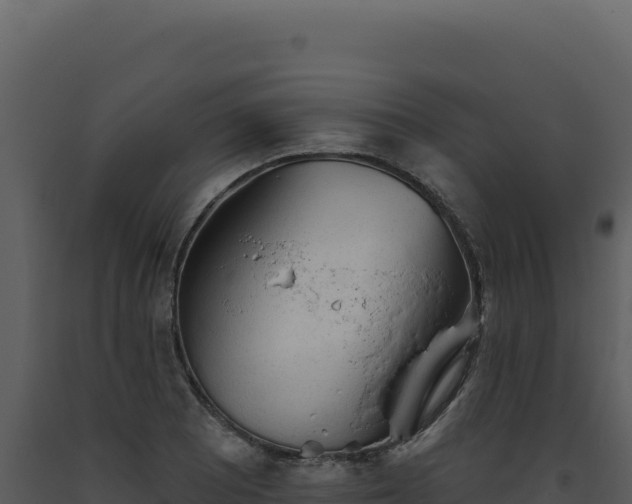 X0000093501081200710191244