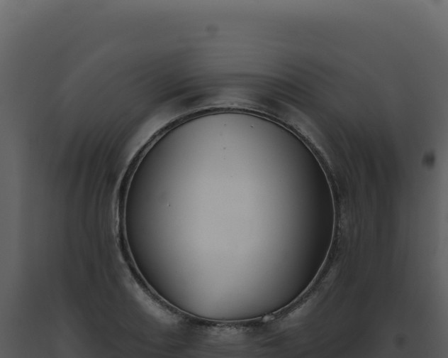 X0000093501082200710191244