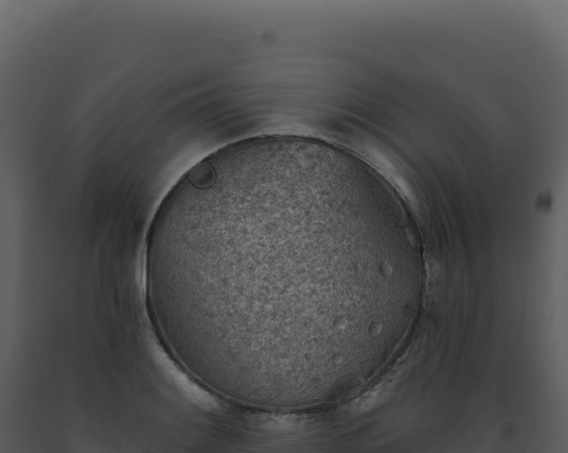 X0000093501084200710191244