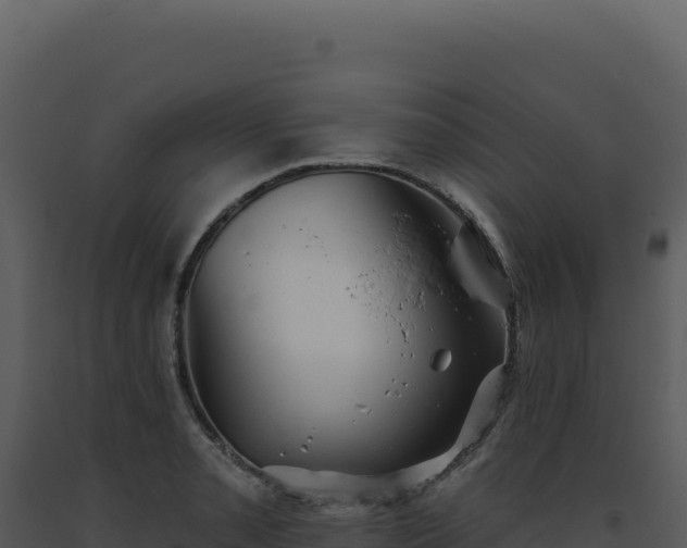 X0000093501085200710191244