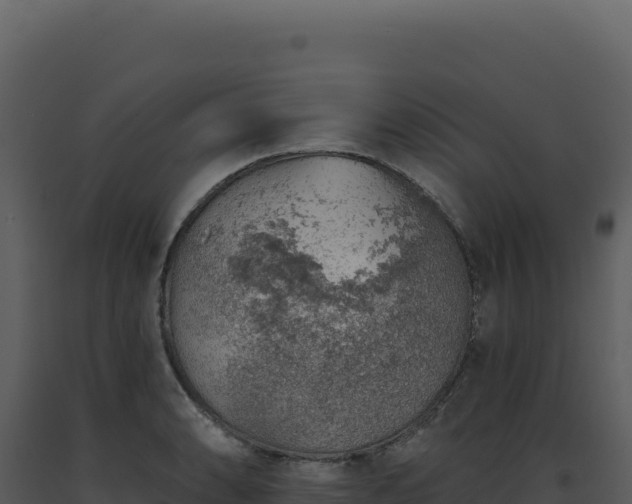 X0000093501086200710191244