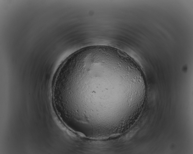 X0000093501088200710191244