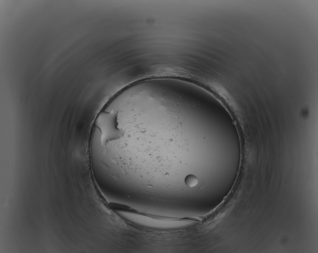 X0000093501089200710191244