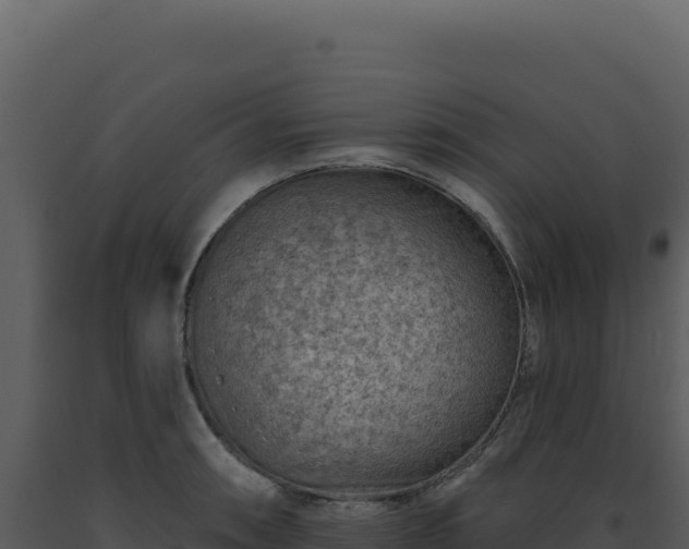 X0000093501090200710191244