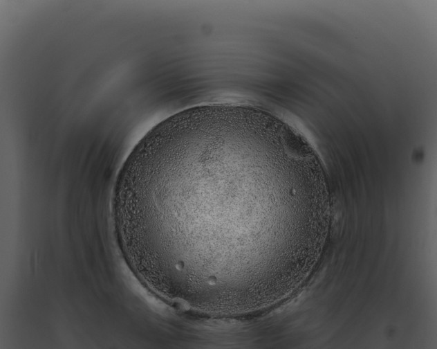 X0000093501091200710191244
