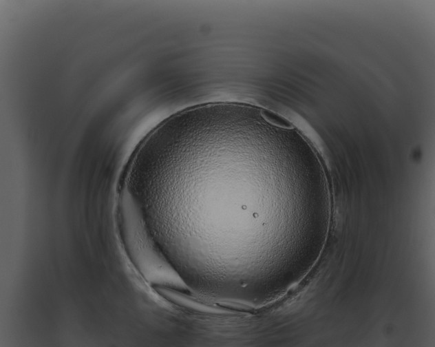 X0000093501096200710191244