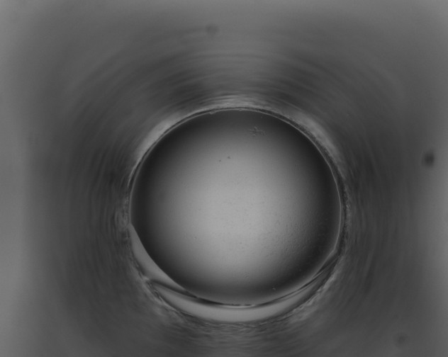 X0000093501097200710191244