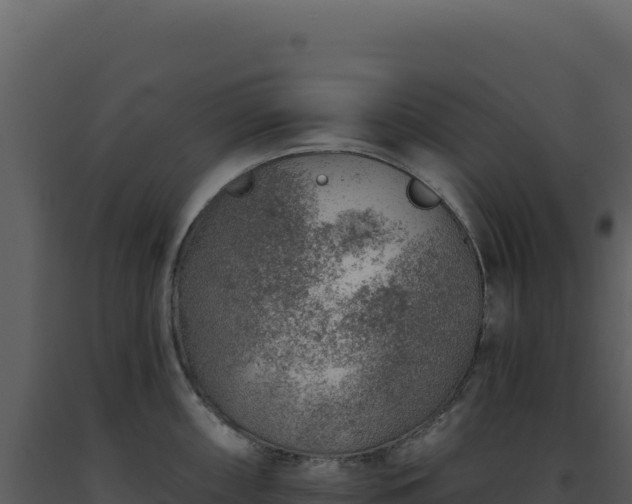 X0000093501098200710191244