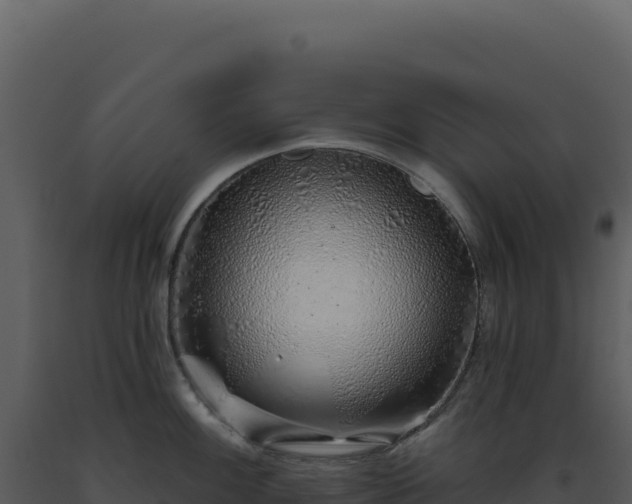 X0000093501100200710191244