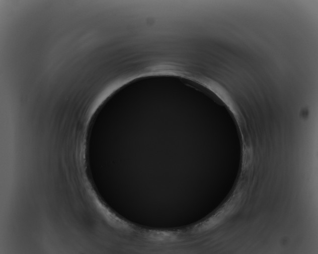X0000093501101200710191244