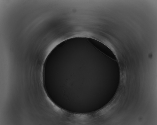 X0000093501103200710191244