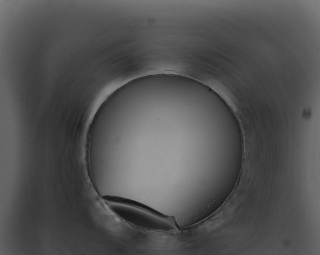 X0000093501104200710191244