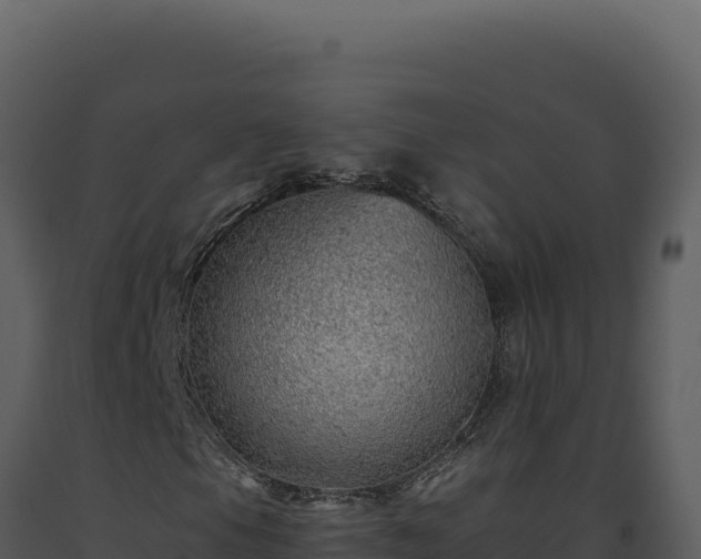 X0000093501105200710191243