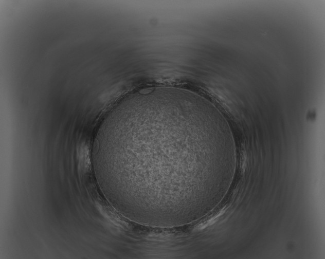 X0000093501106200710191243