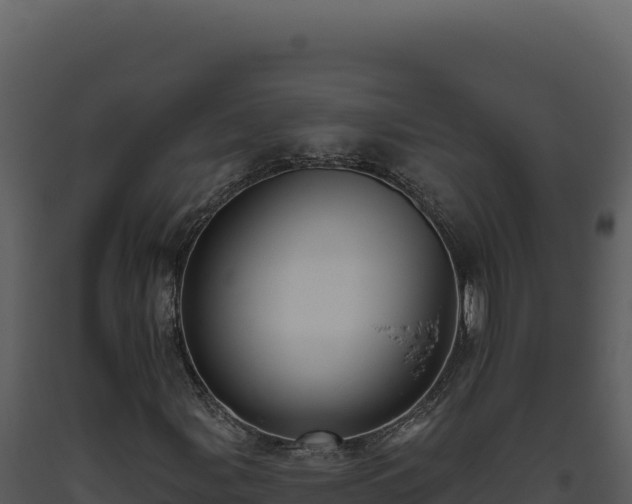 X0000093501107200710191243