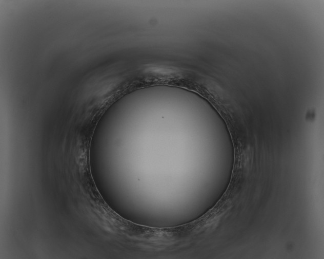 X0000093501109200710191243