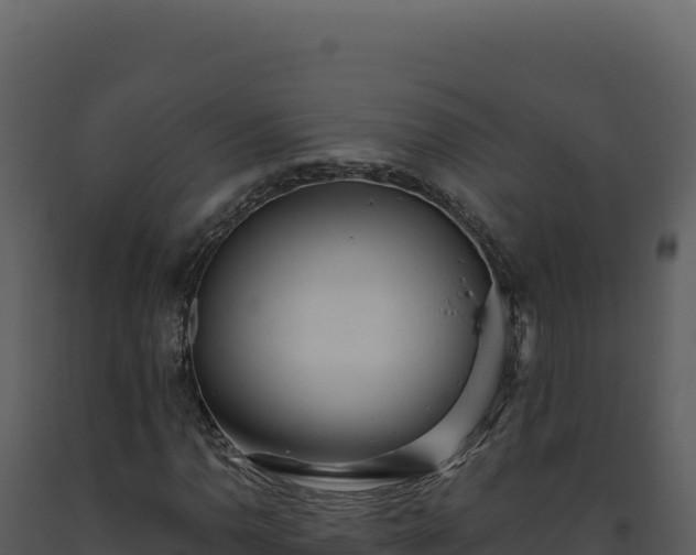 X0000093501110200710191243