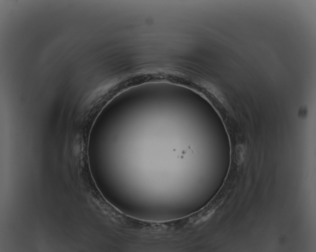 X0000093501111200710191243