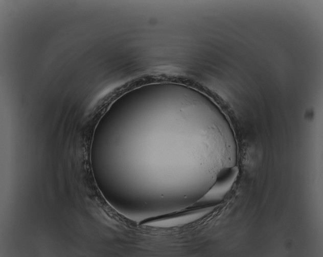 X0000093501112200710191243