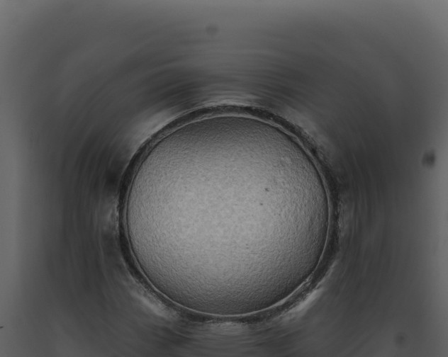 X0000093501113200710191243