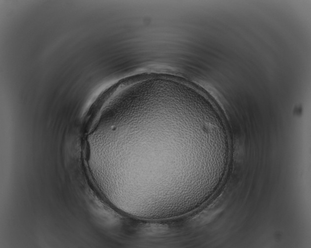 X0000093501115200710191243