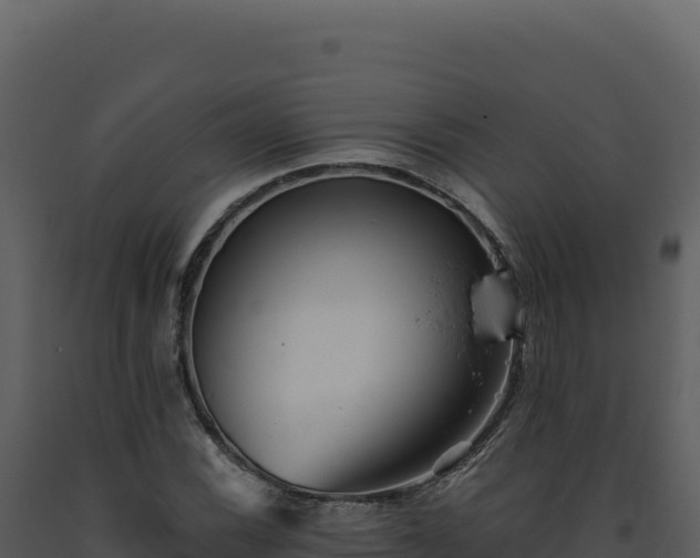 X0000093501116200710191243