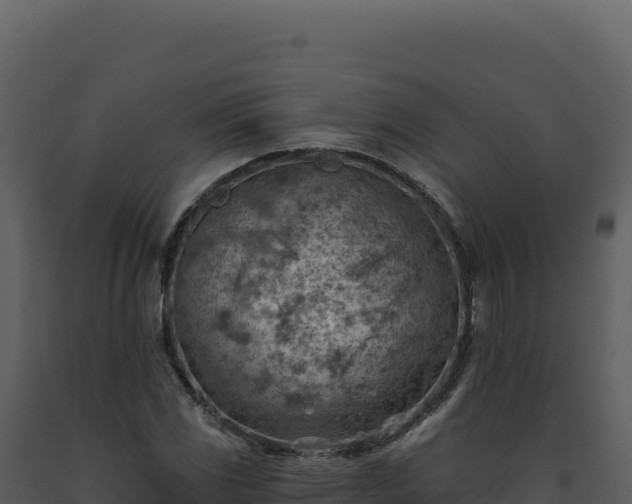 X0000093501117200710191243