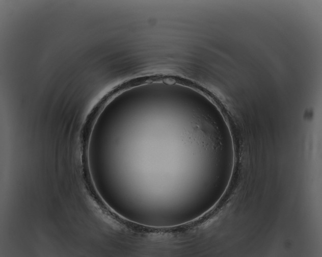 X0000093501118200710191243