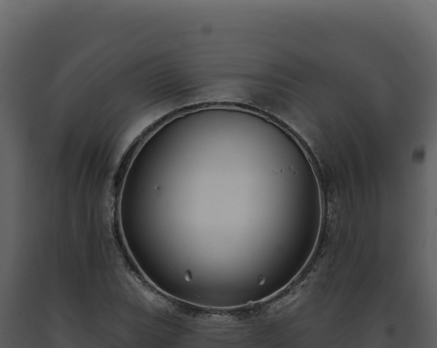 X0000093501119200710191243