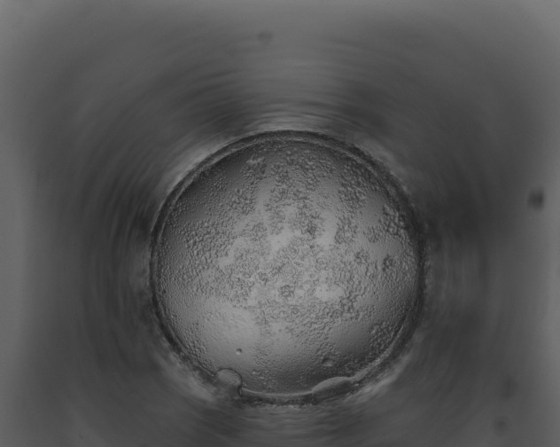 X0000093501121200710191243