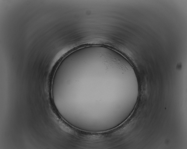 X0000093501122200710191243
