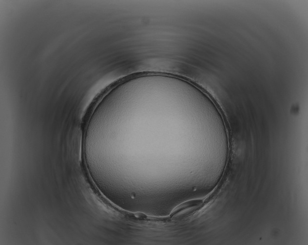 X0000093501123200710191243