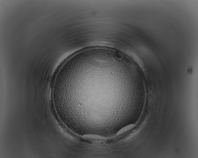 X0000093501125200710191243