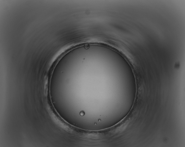 X0000093501126200710191243