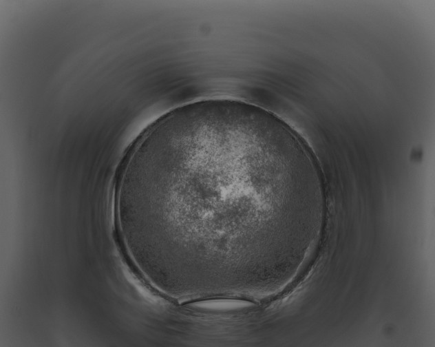 X0000093501127200710191243