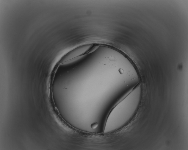 X0000093501128200710191243