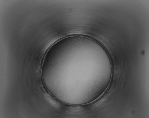 X0000093501129200710191243